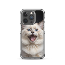 Angry Ragdoll Kitten iPhone Case