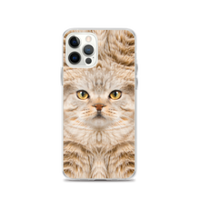 iPhone 12 Pro Scottish Fold Cat "Hazel" iPhone Case by Design Express