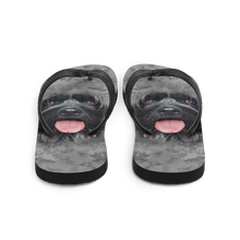 Gos D'atura Dog Flip-Flops by Design Express