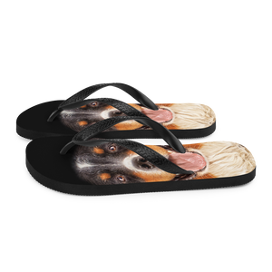 Bernese Montain Dog Flip-Flops by Design Express