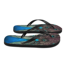 Peacock Flip-Flops by Design Express