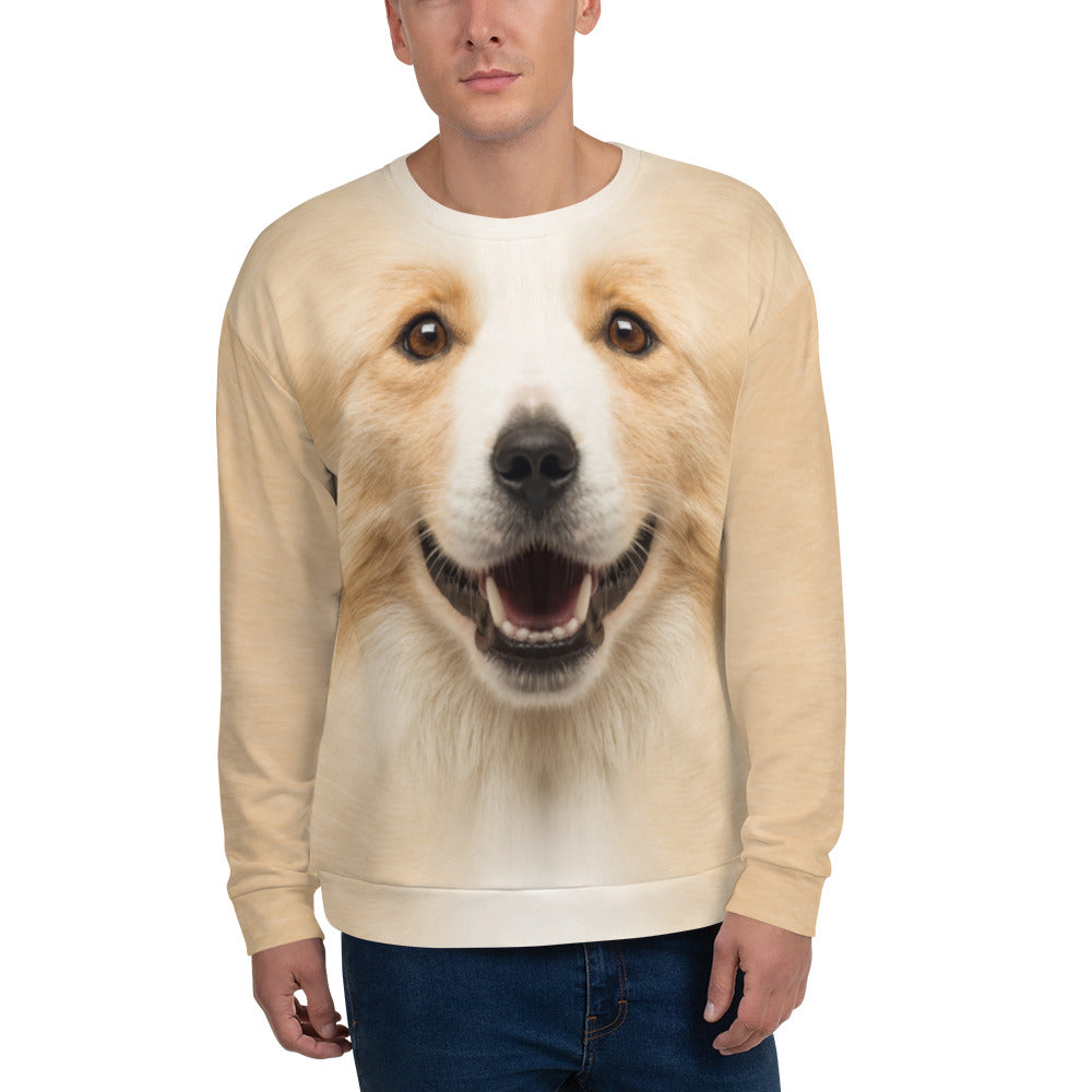 XS Border Collie 