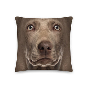 Weimaraner Dog Premium Pillow by Design Express