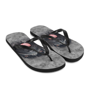 Gos D'atura Dog Flip-Flops by Design Express