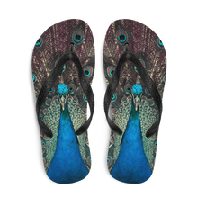 Peacock Flip-Flops by Design Express