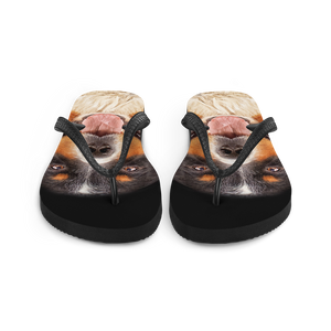 Bernese Montain Dog Flip-Flops by Design Express