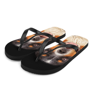S Bernese Montain Dog Flip-Flops by Design Express