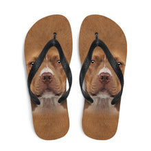 Staffordshire Bull Terrier Dog Flip-Flops by Design Express