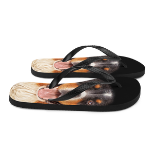Bernese Montain Dog Flip-Flops by Design Express