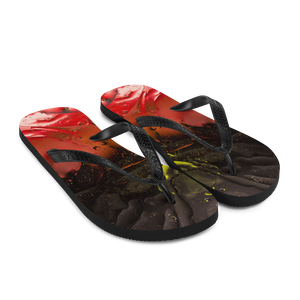 Abstract 02 Black Red Flip-Flops by Design Express