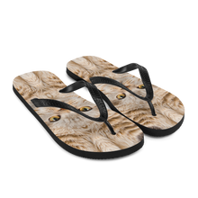 Scottish Fold Cat "Hazel" Flip-Flops by Design Express
