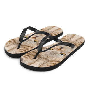 S Scottish Fold Cat "Hazel" Flip-Flops by Design Express