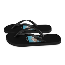 Sydney Australia Flip Flops by Design Express