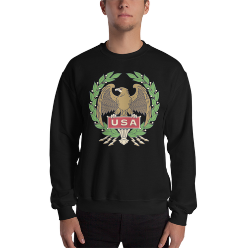 Black / S USA Eagle Unisex Sweatshirt by Design Express